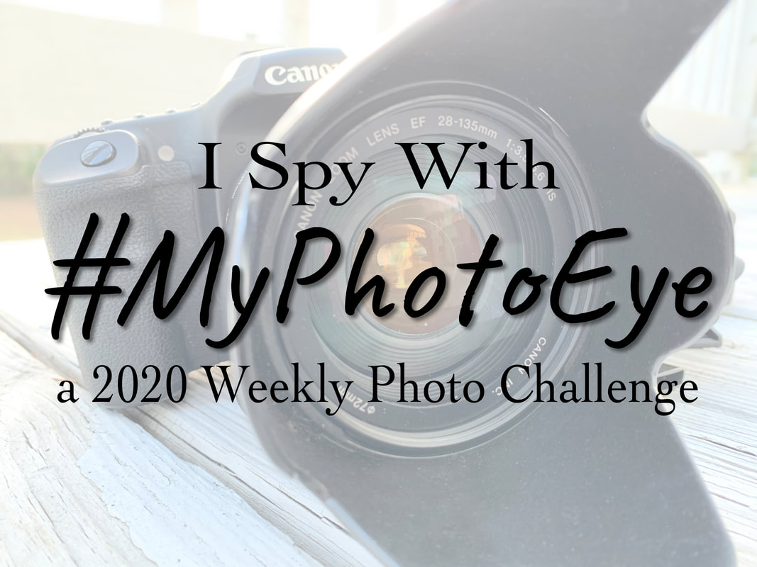 2020 Weekly Photo Challenge